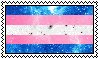 Image of starry trans flag